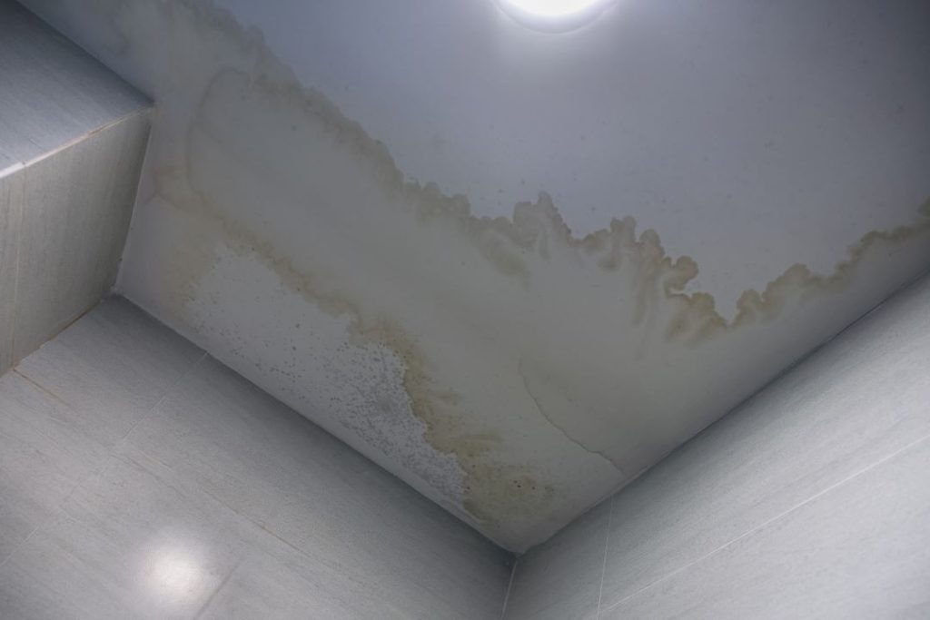 Ceiling water stains suggesting a hidden leak that requires attention from a residential plumber.